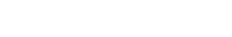 Uniwersytet Śląski - Instytut Inżynierii Biomedycznej